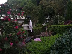 -明月山天沐温泉度假村