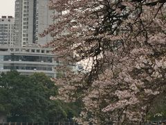 -红星桥(地铁站)