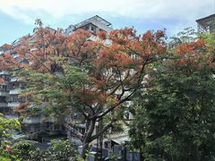 -铁路文化公园