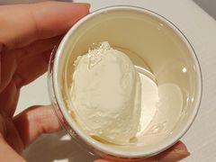 -西琳姑娘·新疆冰淇淋酸奶茶(南开大悦城店)