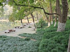 -安徽大学(龙河校区)