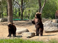 -北京野生动物园