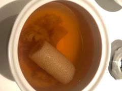 -觀芷隐轩