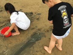 -碧海金沙