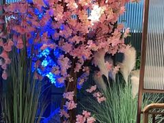 -野妹火锅(龙岗店)