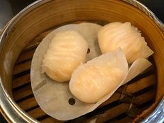 -糖朝(尖沙咀店)