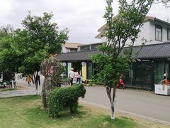 -空港花田景区
