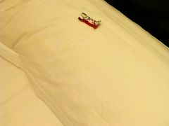-扬州东关街文昌阁桔子水晶酒店