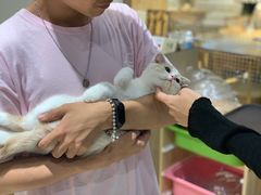 -藏猫猫咖啡主题馆(中央大道店)