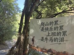 -广州白江湖森林公园