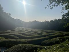 -大屏嶂森林公园