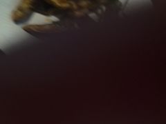 -巴扎屋大盘鸡·新疆菜(汇嘉时代店)