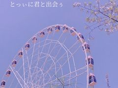 -顾村公园