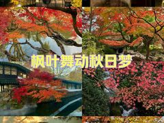 -拙政园