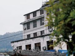 -后柳水乡