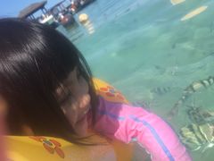 -东姑阿都拉曼海洋公园