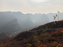 -徽镇小厨·经典徽菜(马连道店)