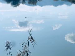 -东钱湖旅游度假区