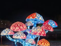 -北戴河集发农业梦想王国