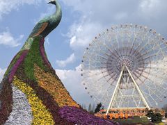 -七彩云南欢乐世界