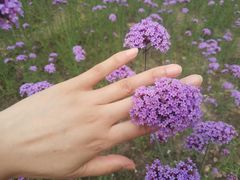 -杭州城北体育公园