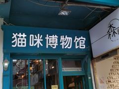 -猫咪博物馆(顶澳仔猫街店)