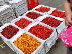 -西郊国际农产品交易中心
