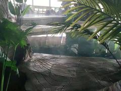 -汤乐汇•足道•SPA生活馆