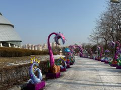 -沈阳奥体冰雪嘉年华