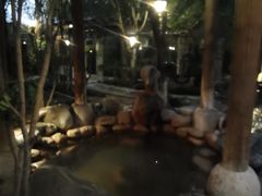 -张家港金凤凰度假村温泉