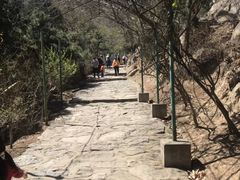 -北京鹫峰国家森林公园