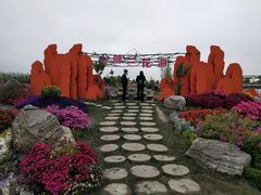 -荷兰花海