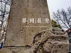 -西安碑林博物馆