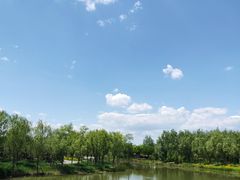 -东郊湿地公园