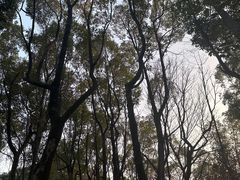 -岳麓山风景名胜区