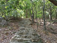 -梧桐山风景名胜区