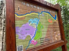 -汤旺河林海奇石景区