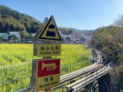 -红山村