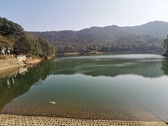 -桃花岭景区
