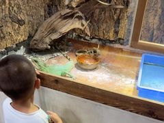 -嘉兴海底世界