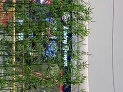 -DQ·蛋糕·冰淇淋(雨花吾悦店)