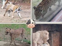 -杭州野生动物世界