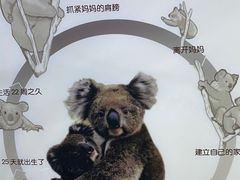 -天津自然博物馆