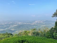 -黄埔油麻山森林公园