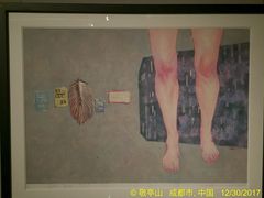 -四川美术馆