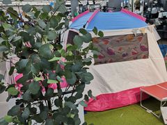 -迪卡侬(南二环店)