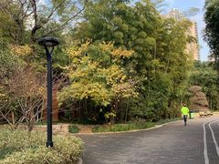 -苏州河梦清园环保主题公园