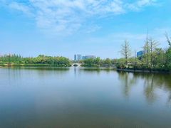 -成都南湖公园