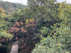 -福道