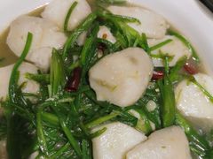 -滇铺子·云南特色菜·第九届野生菌美食节(东风东路c86店)